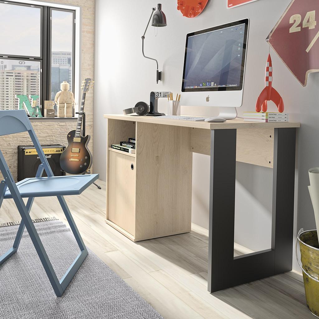 DUPLEX Desk with Door and Cubby