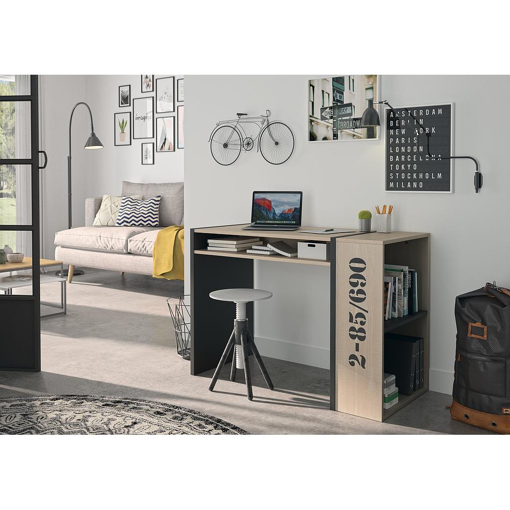 SHIPPING Desk with Bookcase
