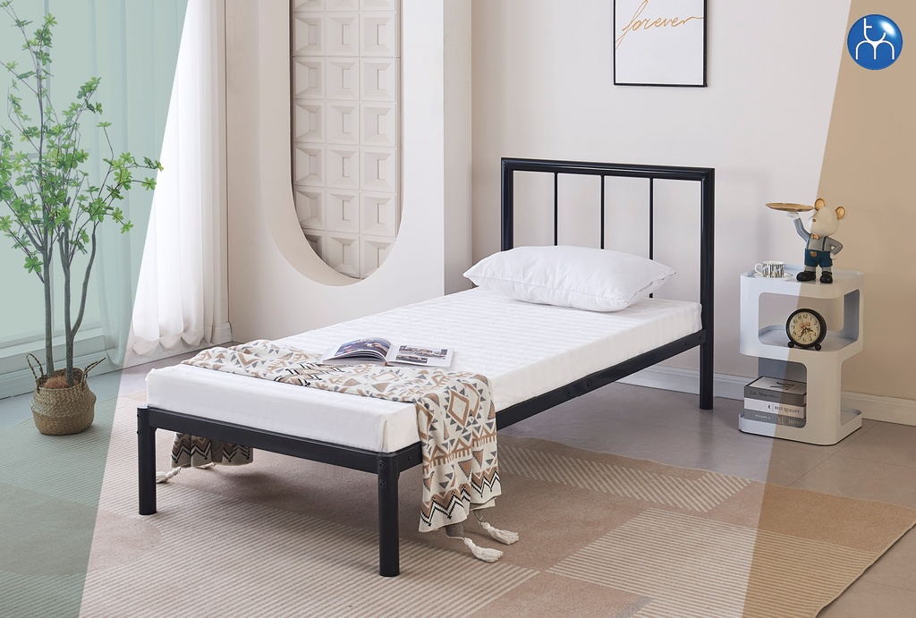 Metal Bed