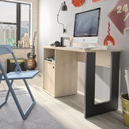 [DUPBURO] DUPLEX Desk with Door and Cubby