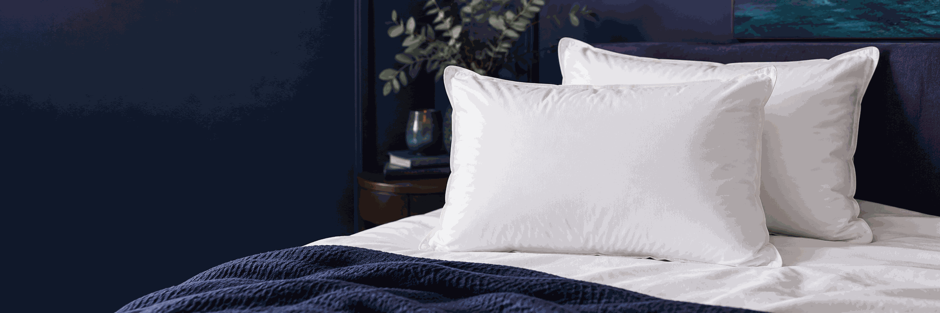 Pillows — MOERANI
