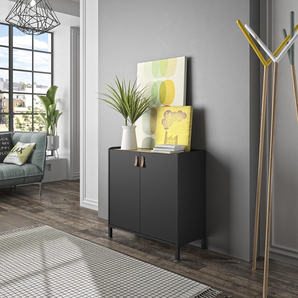 MEUBLE RANGEMENT 2 PORTES AMSTERDAM