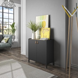 [AMSRANG2P] MEUBLE RANGEMENT 2 PORTES AMSTERDAM