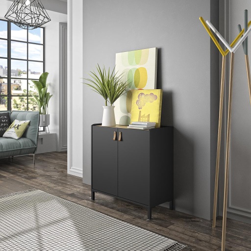 [AMSRANG2P] AMSTERDAM Two-Door Storage Cabinet